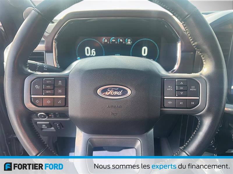 ford F-150 2022 - 12