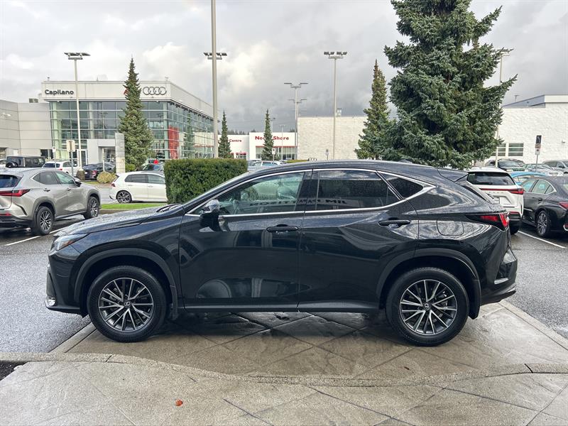 lexus NX 2024 - 2