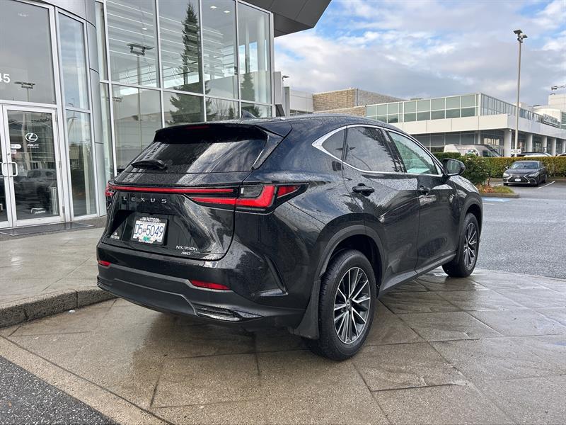 lexus NX 2024 - 5