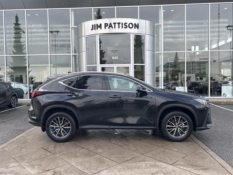lexus NX 2024 - 6