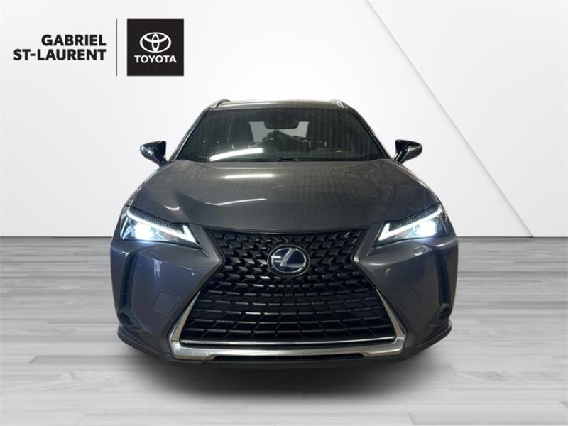 lexus UX 250H 2021 - 2