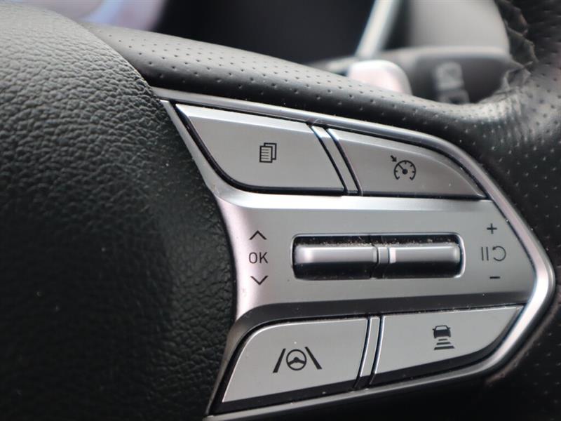 hyundai Santa Fe 2023 - 25