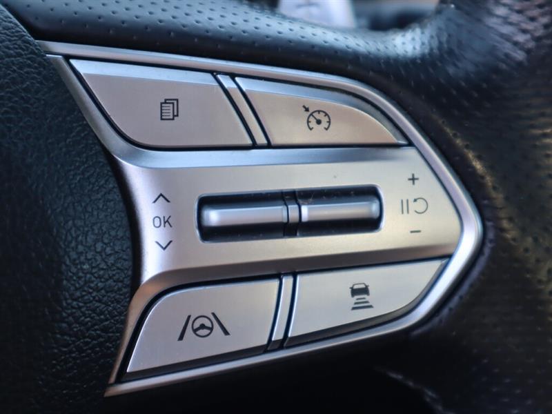 hyundai Santa Fe 2022 - 25