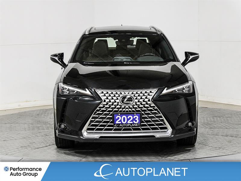 lexus UX 250H 2023 - 2