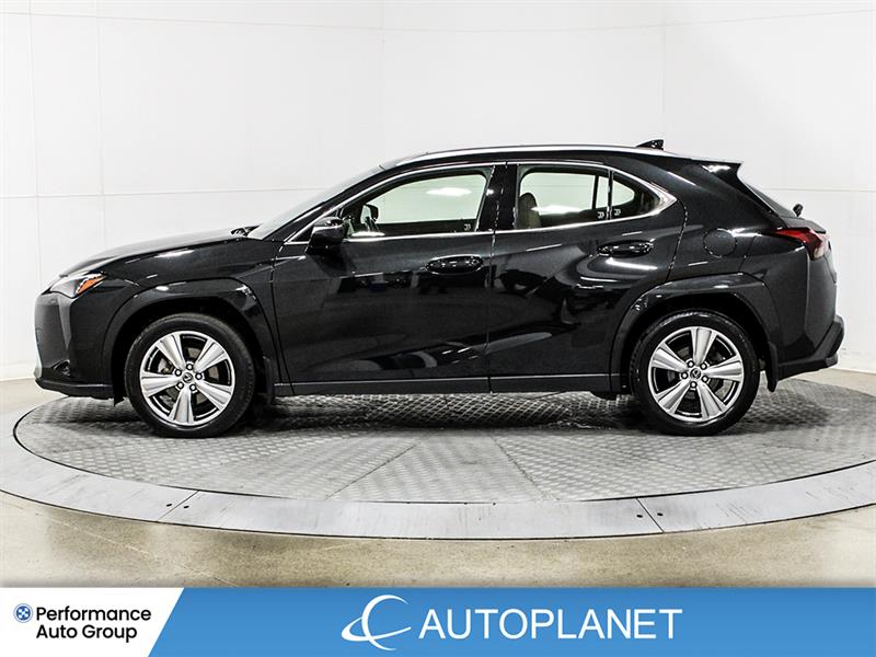 lexus UX 250H 2023 - 4