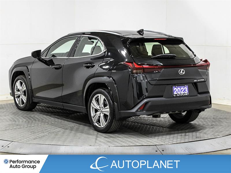 lexus UX 250H 2023 - 5