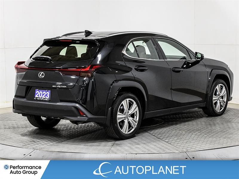 lexus UX 250H 2023 - 8