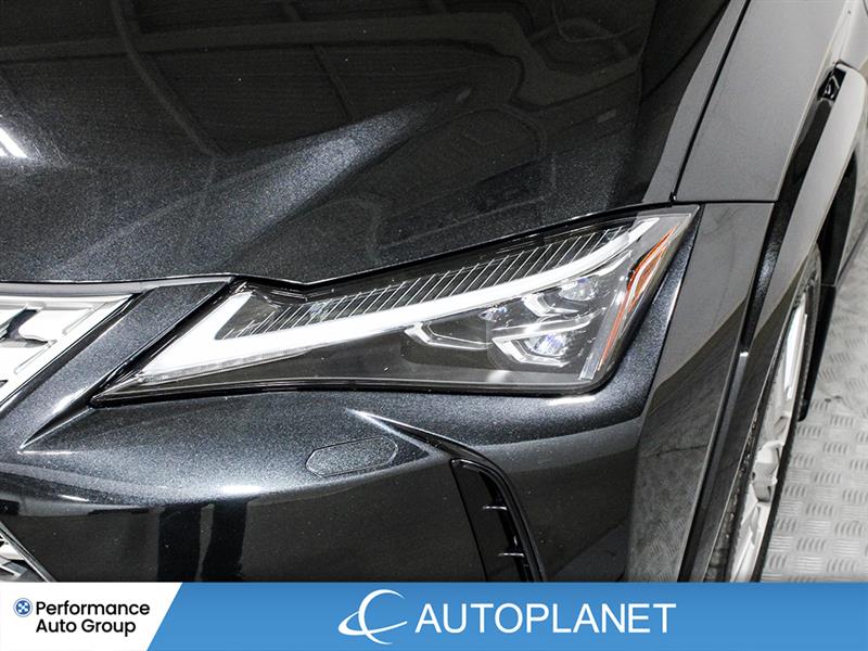 lexus UX 250H 2023 - 10