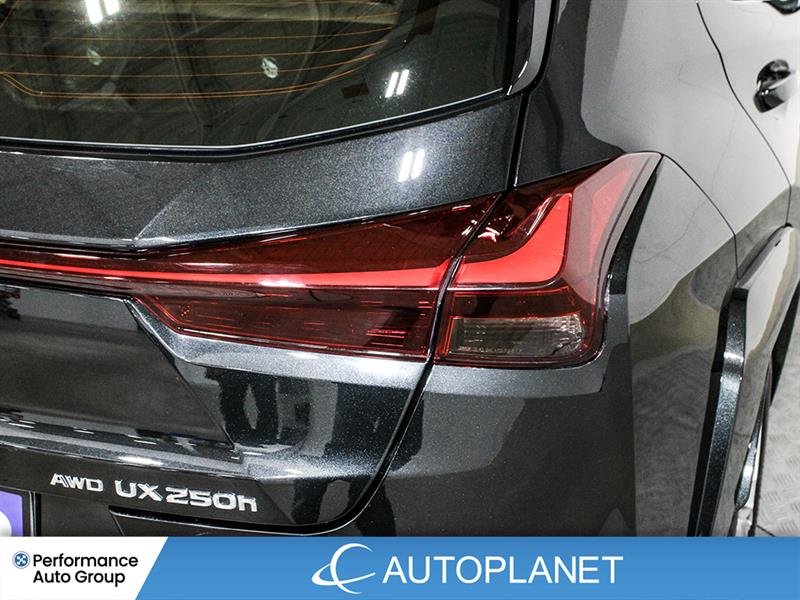 lexus UX 250H 2023 - 13