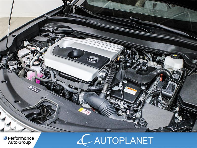 lexus UX 250H 2023 - 14