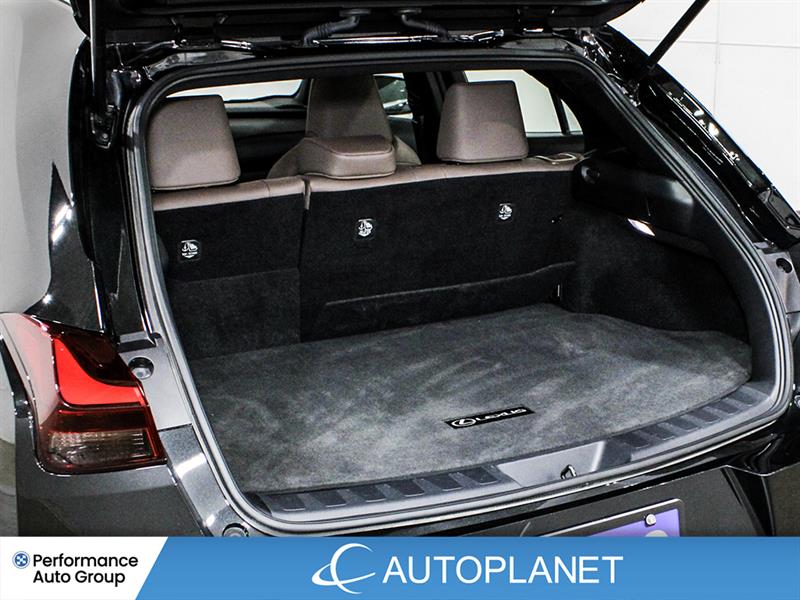 lexus UX 250H 2023 - 15