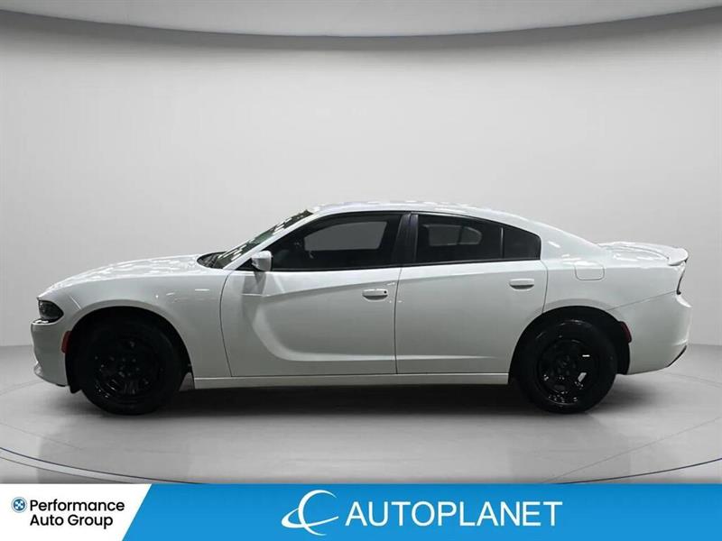 dodge Charger 2020 - 8