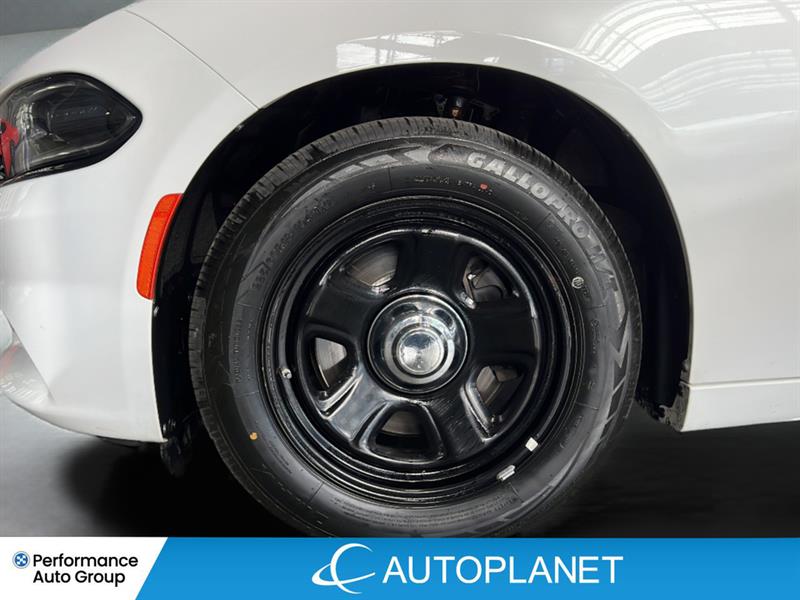 dodge Charger 2020 - 26