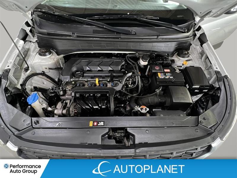 hyundai Venue 2023 - 24