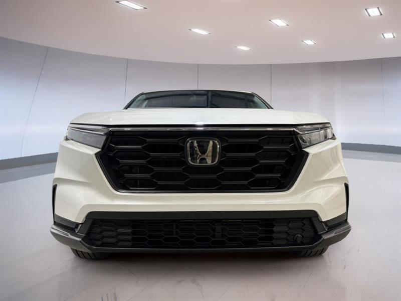 honda CR-V 2025 - 2