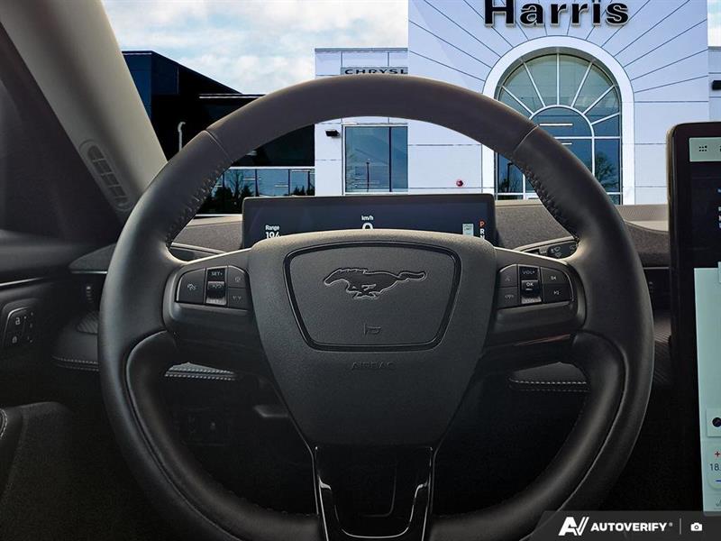 ford Mustang Mach-E 2022 - 14