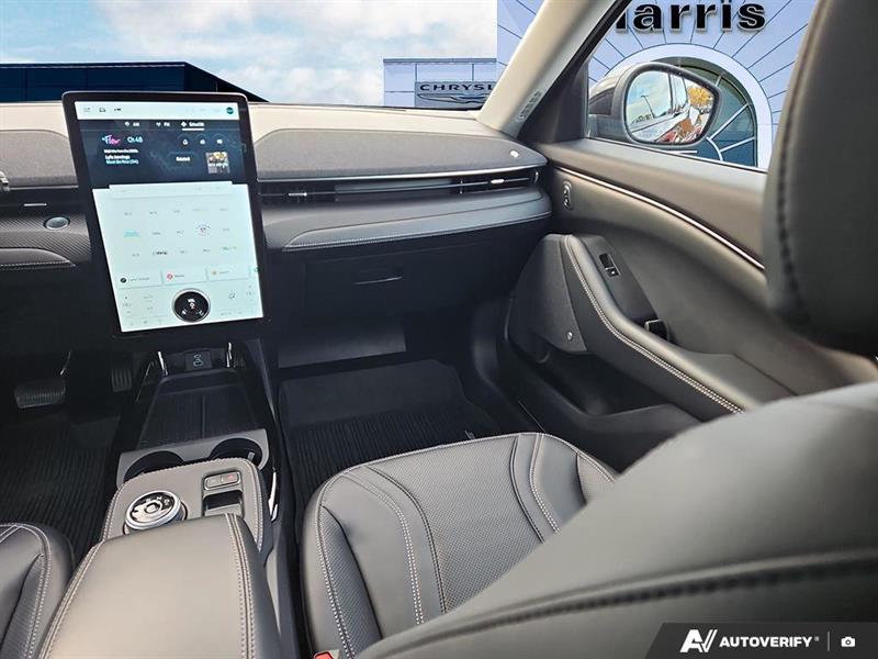 ford Mustang Mach-E 2022 - 25