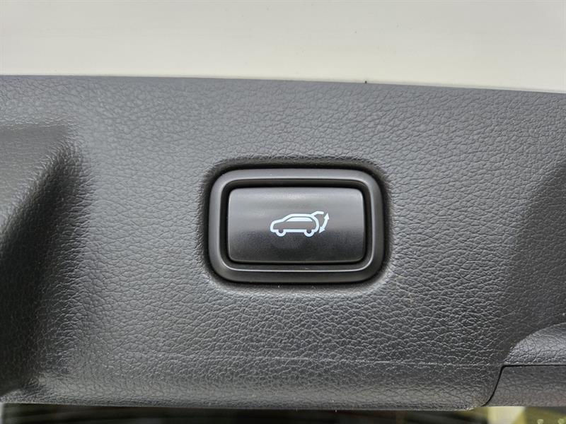 hyundai Palisade 2022 - 23