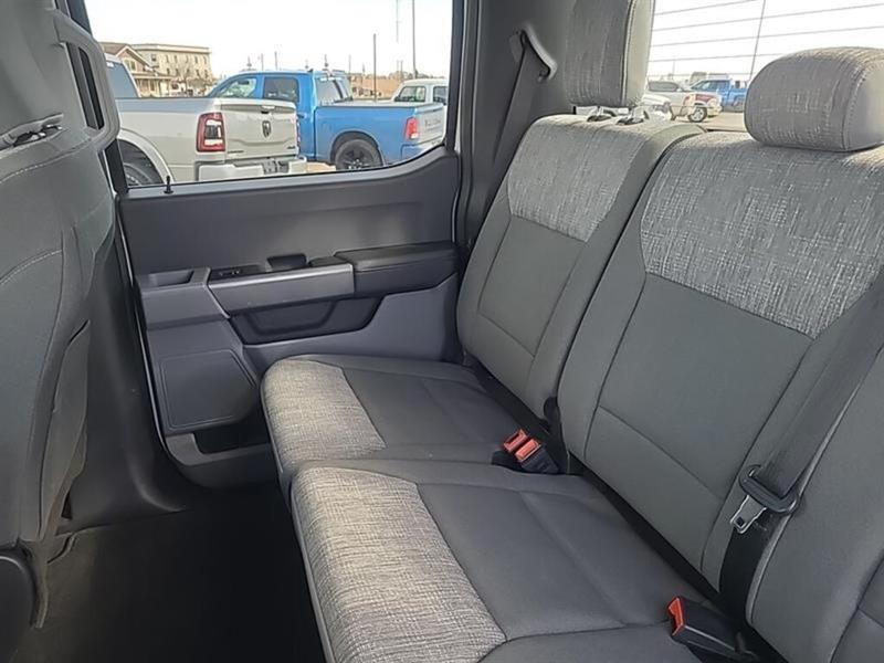 ford F-150 2023 - 14