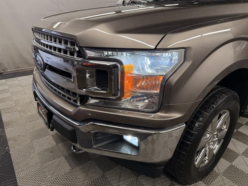 ford F-150 2019 - 5