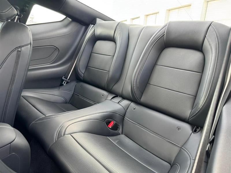 ford Mustang 2024 - 15