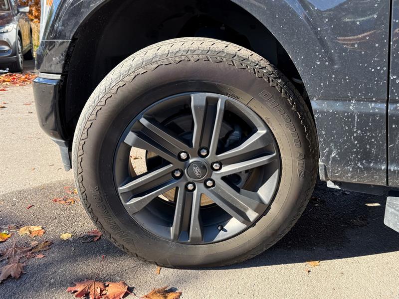 ford F-150 2022 - 10