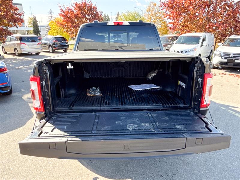 ford F-150 2022 - 15