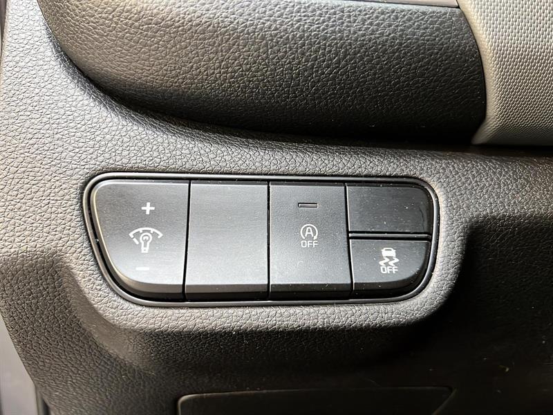 kia Seltos 2022 - 19