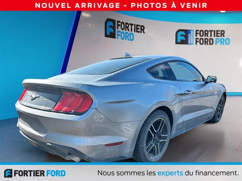ford Mustang 2022 - 2
