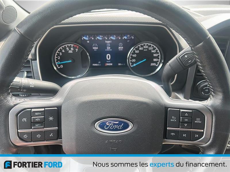 ford F-150 2021 - 14