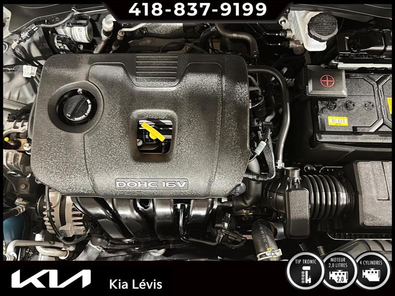 kia Seltos 2025 - 15