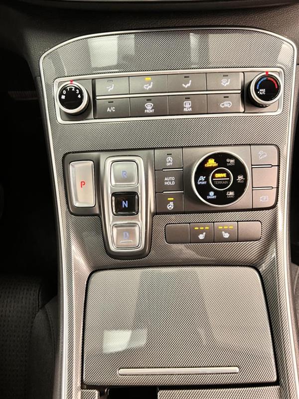 hyundai Santa Fe 2022 - 17