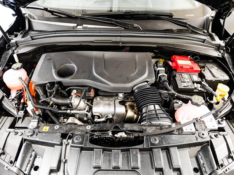 dodge Hornet Hybrid 2024 - 14