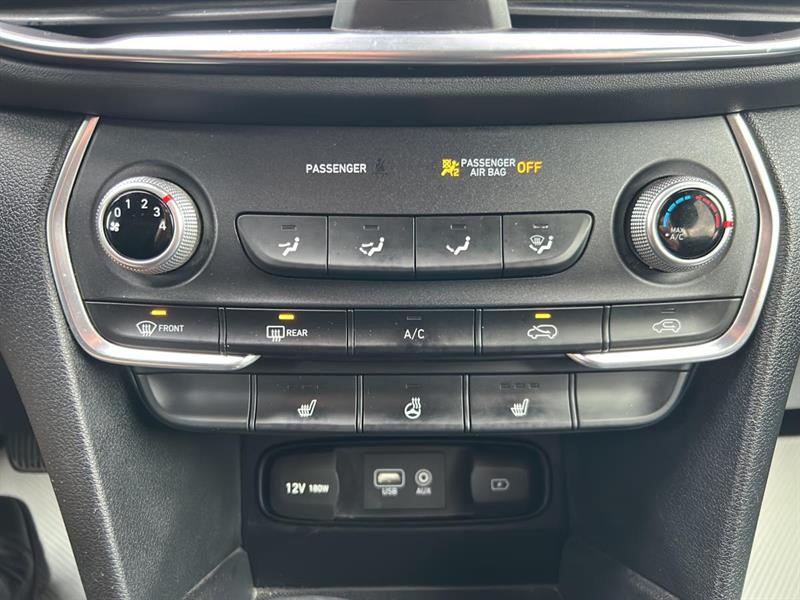 hyundai Santa Fe 2019 - 20