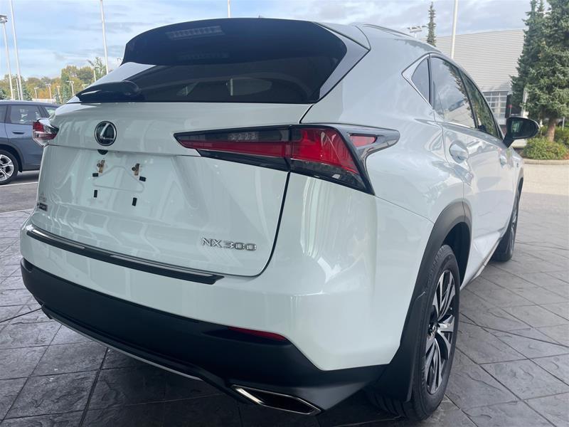 lexus NX 300 2019 - 7