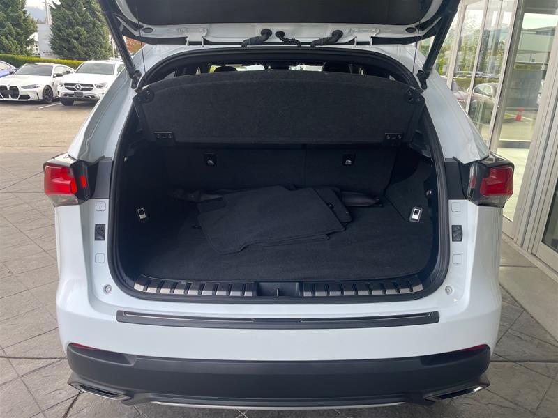 lexus NX 300 2019 - 20