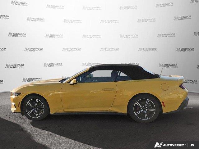 ford Mustang 2024 - 2