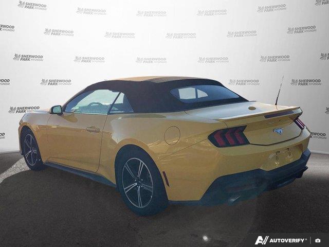ford Mustang 2024 - 3