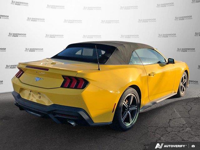 ford Mustang 2024 - 5