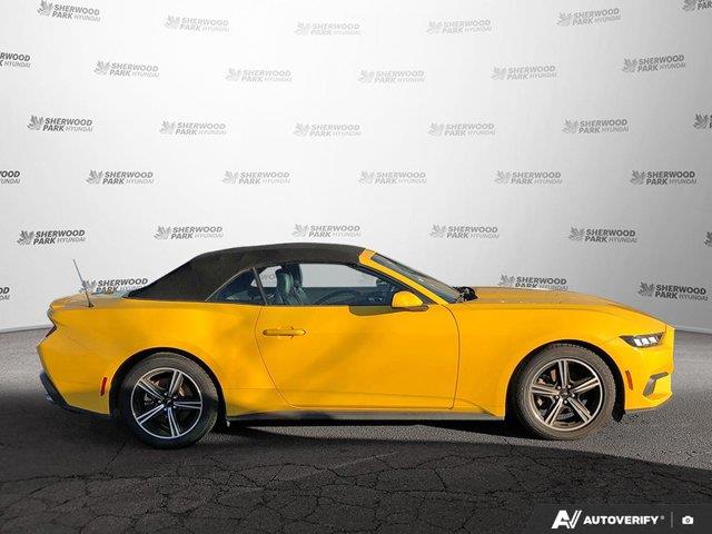 ford Mustang 2024 - 6