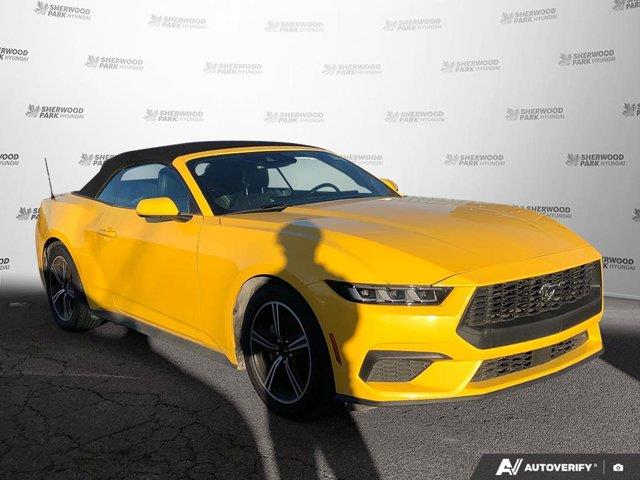 ford Mustang 2024 - 7
