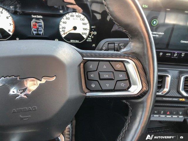 ford Mustang 2024 - 15