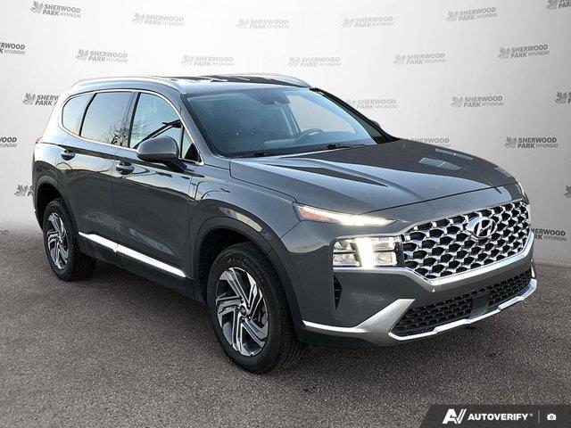 hyundai Santa Fe 2023 - 7