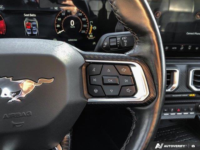 ford Mustang 2024 - 15