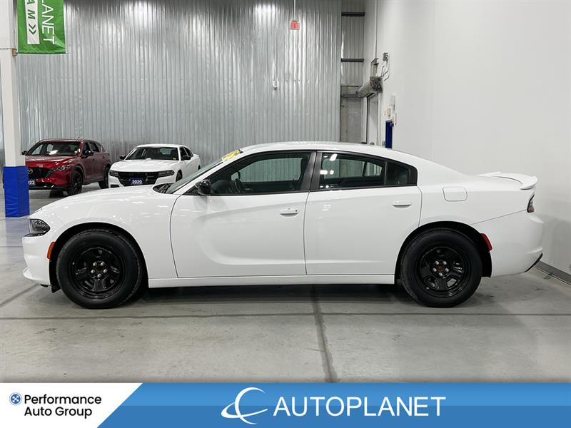 dodge Charger 2020 - 5