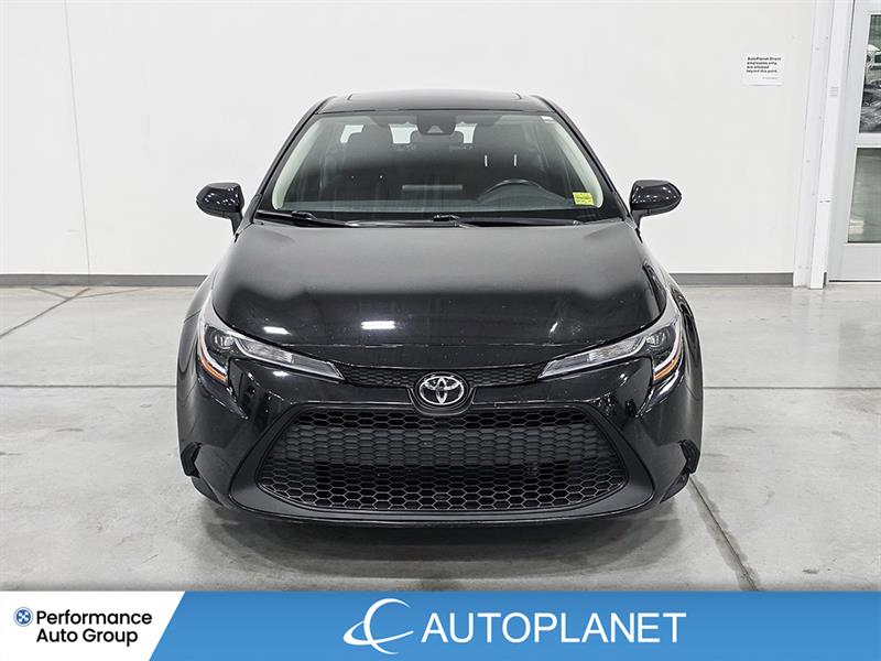 toyota Corolla 2022 - 2