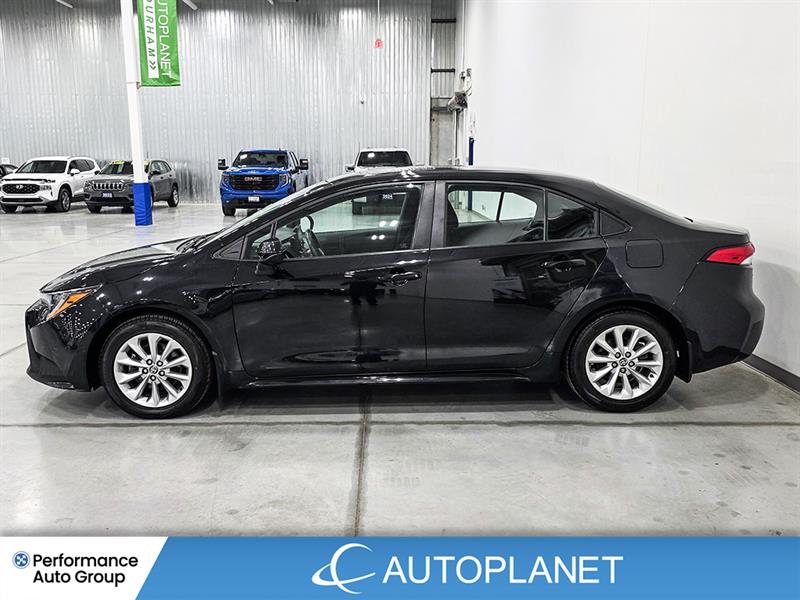 toyota Corolla 2022 - 5