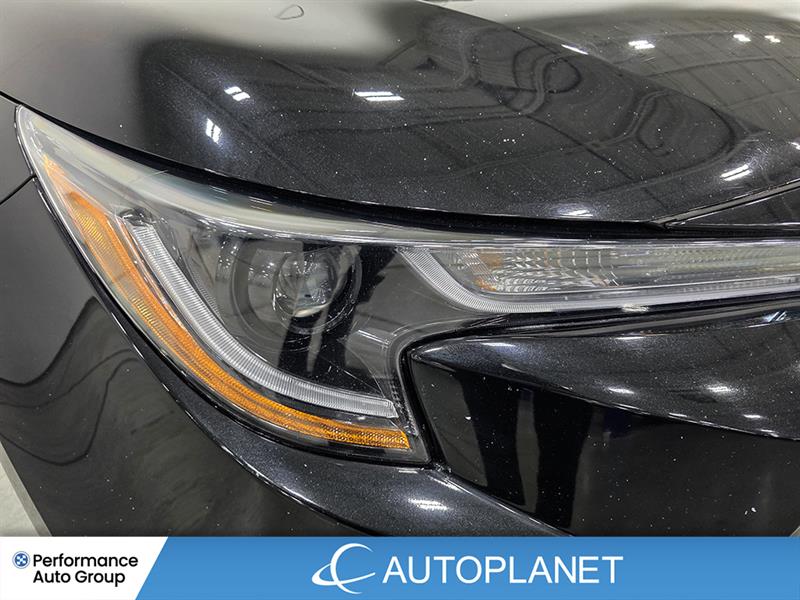 toyota Corolla 2022 - 12