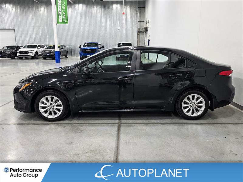 toyota Corolla 2022 - 4