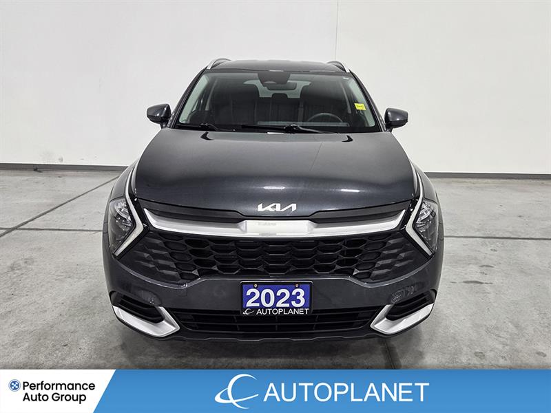 kia Sportage 2023 - 2